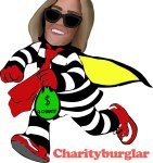 Charityburglar.jpeg