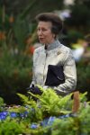 CHELSEAFLOWERSHOW210921_GettyImages-1235385087.jpg