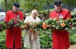 judi-dench-chelsea-flower-show-1632138457.jpg