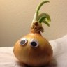 evil.onion