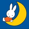 Miffy29