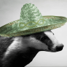 Badgerbadgerbadger