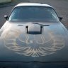 Transam79