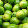 LimeGoss